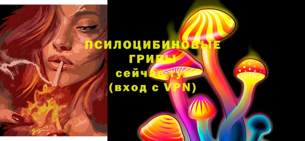 spice Волосово