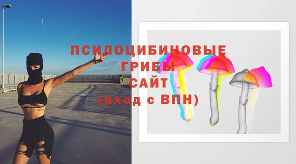 spice Волосово