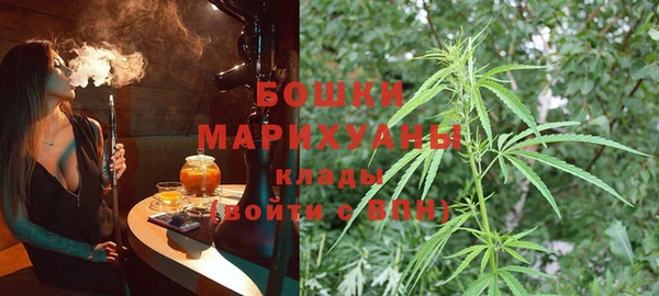 spice Волосово