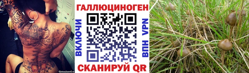 Купить закладки  Костомукша  Псилоцибиновые грибы Psilocybine cubensis 